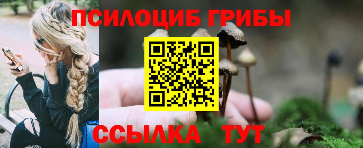 Кострома  Галлюциногенные грибы Cubensis  Галлюциногенные грибы Psilocybe  Вход с VPN 